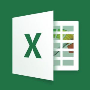 Excel Training Services